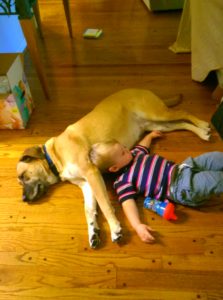 Dog and boy sleeping