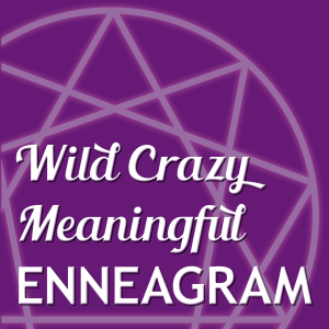 Wild Enneagram Logo